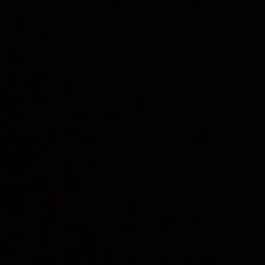 Meet your Posher, Delsie